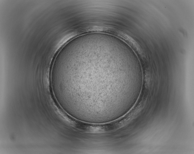 X0000112780794200908271702