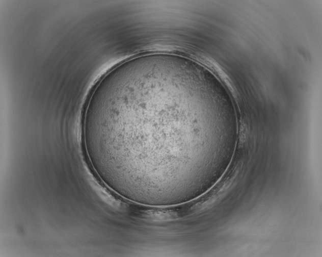 X0000112780795200908271702