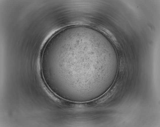 X0000112780796200908271702