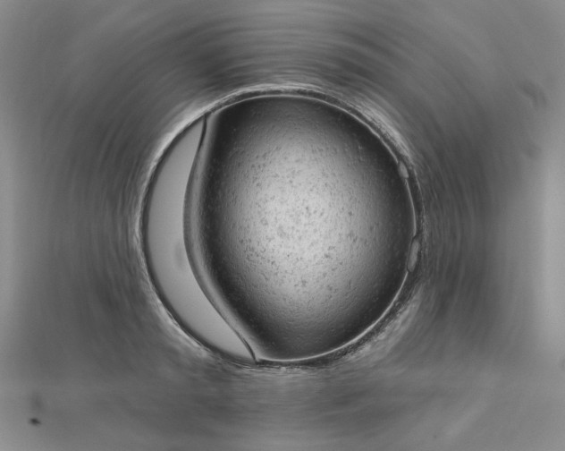 X0000112780797200908271702