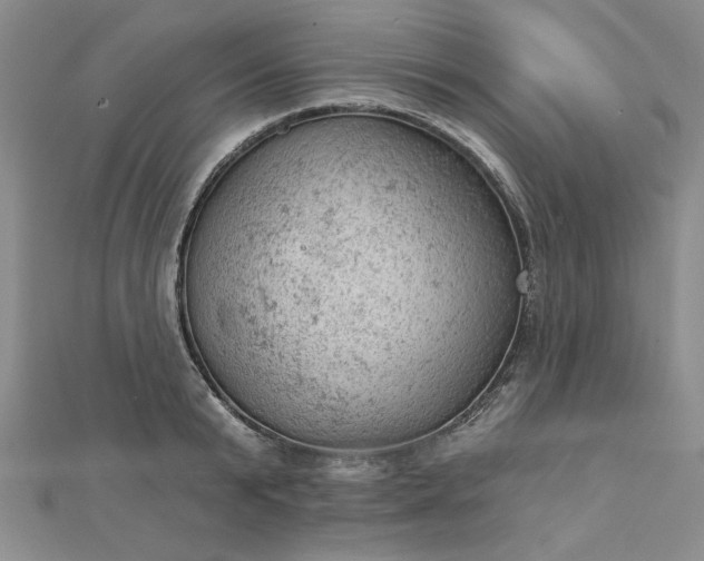 X0000112780799200908271702