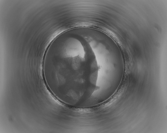 X0000112780802200908271702