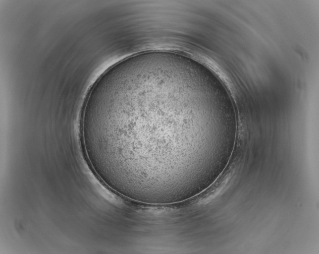 X0000112780803200908271702