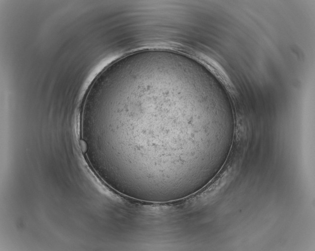 X0000112780804200908271702