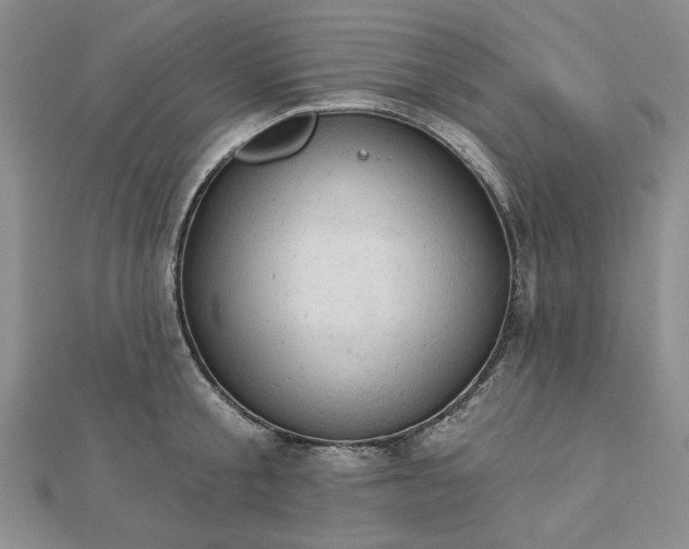 X0000112780805200908271702