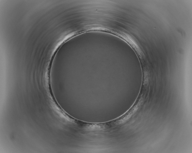 X0000112780806200908271702