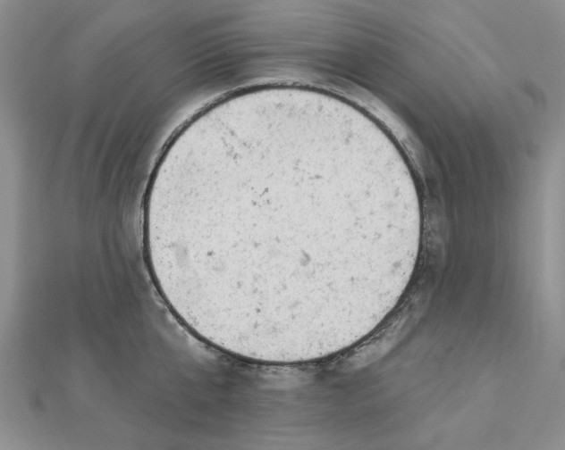 X0000112780807200908271702