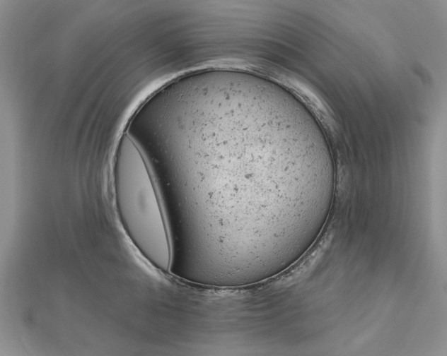 X0000112780808200908271702