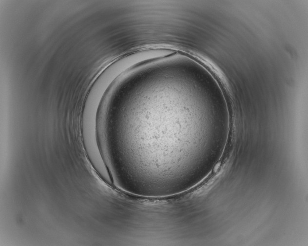 X0000112780809200908271702