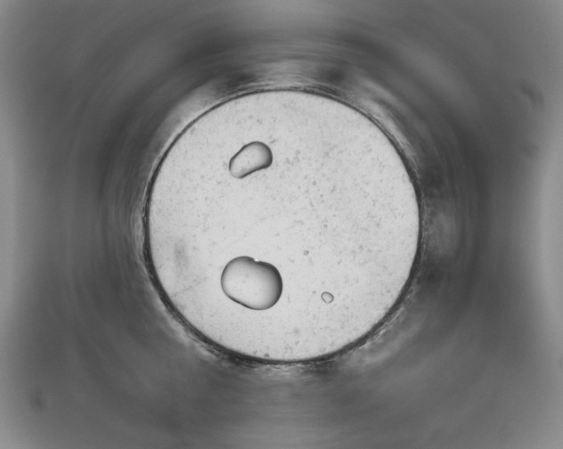 X0000112780810200908271702