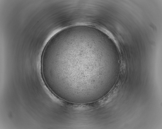 X0000112780811200908271702