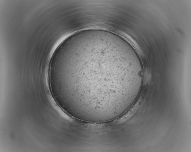 X0000112780812200908271702