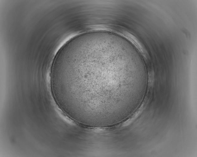 X0000112780814200908271702