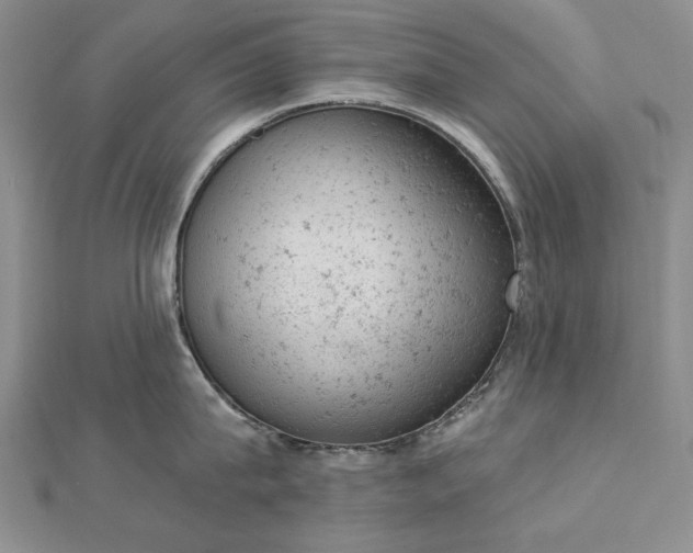 X0000112780815200908271702