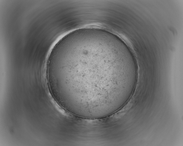 X0000112780816200908271702