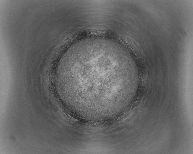 X0000112780817200908271701