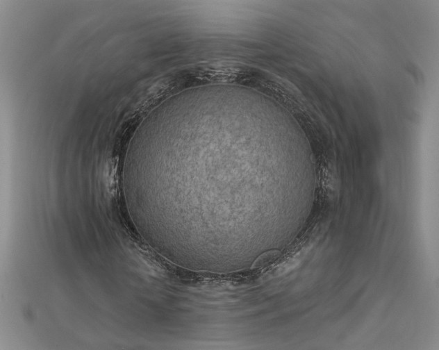 X0000112780818200908271701