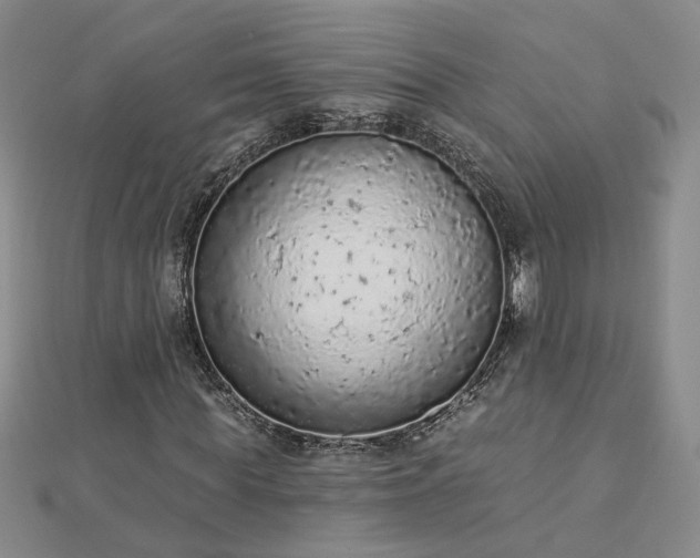 X0000112780819200908271701