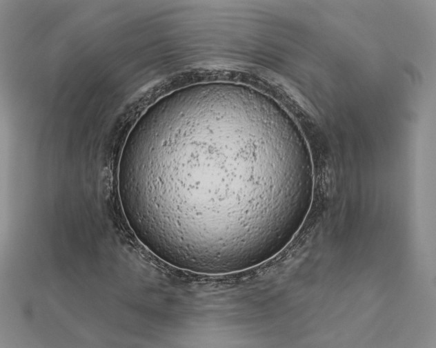 X0000112780821200908271701