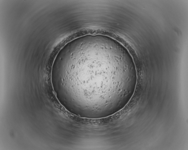 X0000112780823200908271701