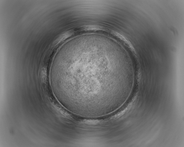 X0000112780825200908271701