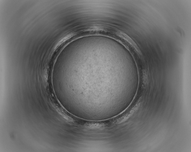 X0000112780826200908271701