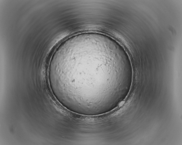 X0000112780827200908271701