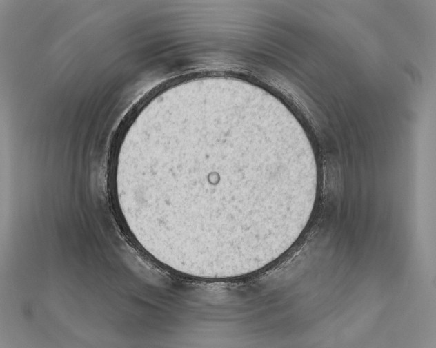 X0000112780828200908271701