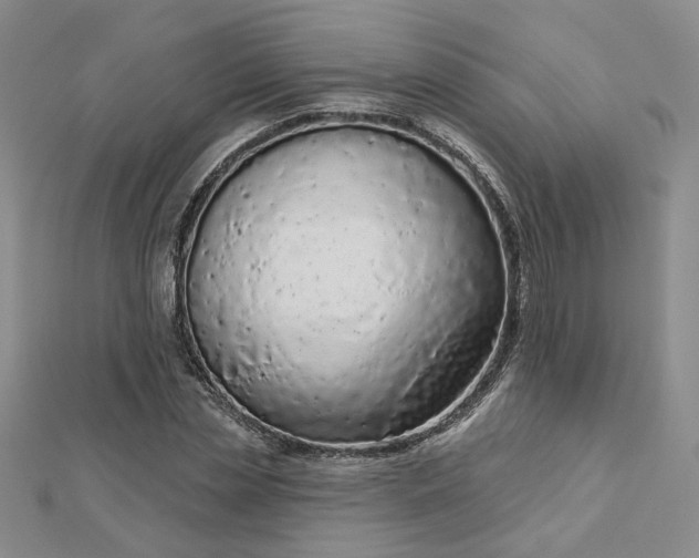 X0000112780829200908271701