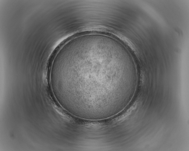 X0000112780830200908271701