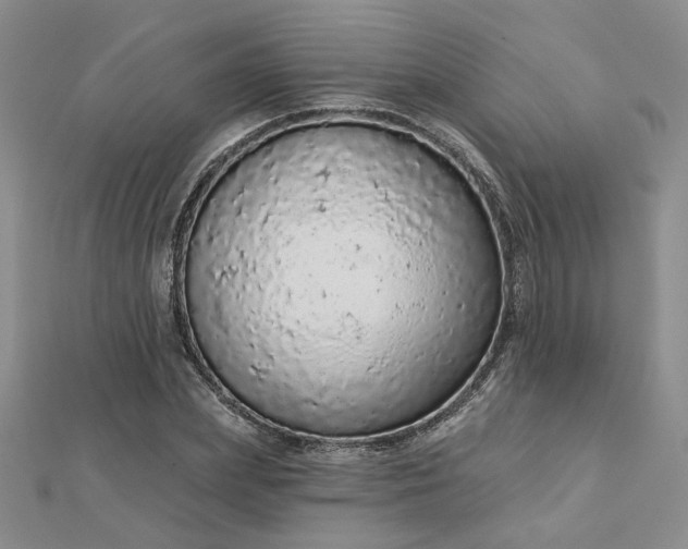 X0000112780831200908271701