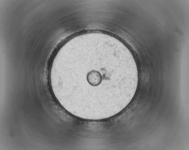 X0000112780832200908271701