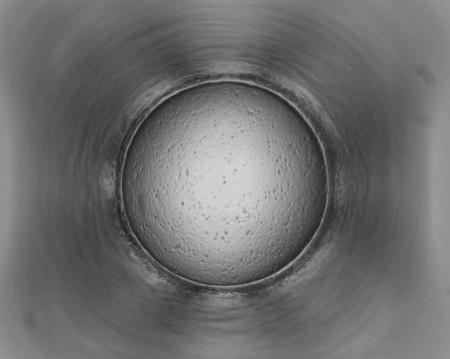 X0000112780833200908271701