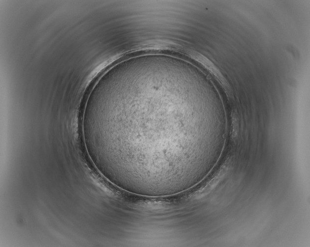 X0000112780834200908271701