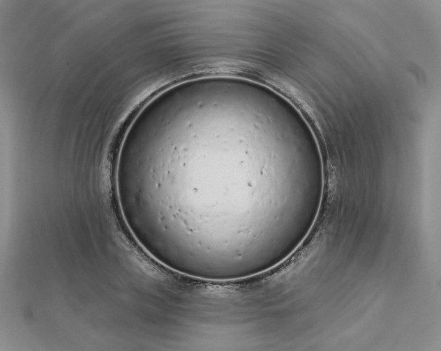 X0000112780835200908271701