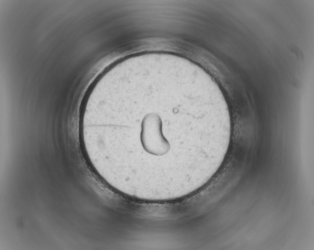 X0000112780836200908271701