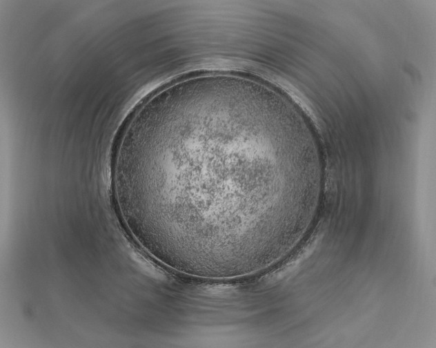 X0000112780837200908271701