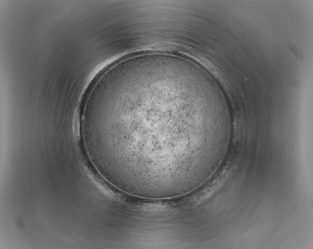 X0000112780838200908271701