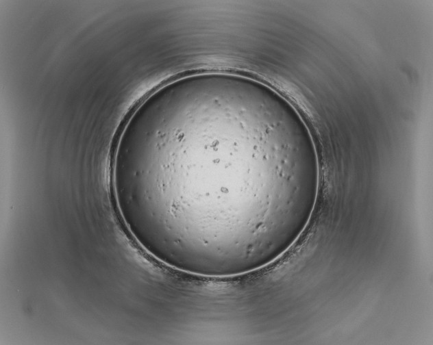 X0000112780839200908271701