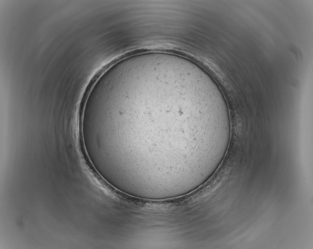 X0000112780840200908271701