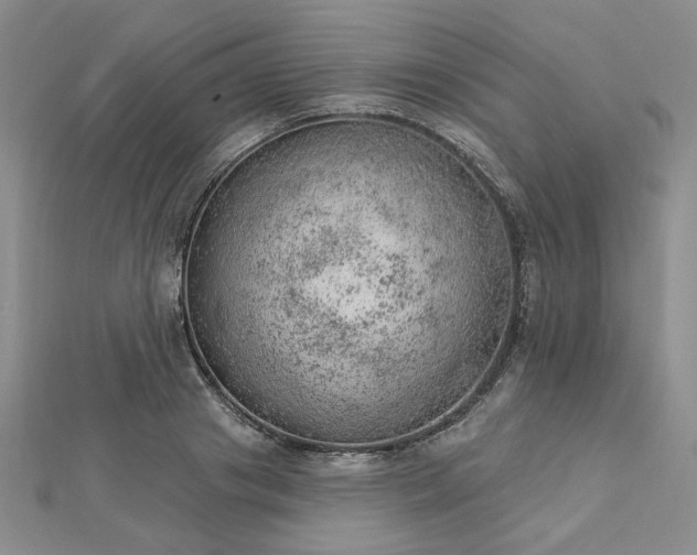 X0000112780841200908271701