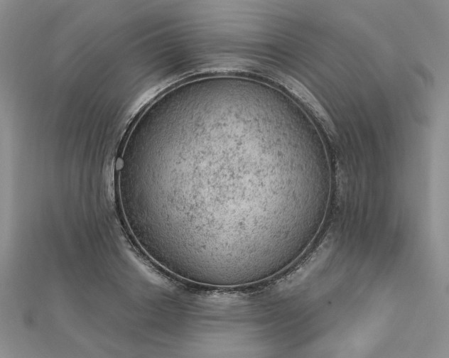 X0000112780842200908271701