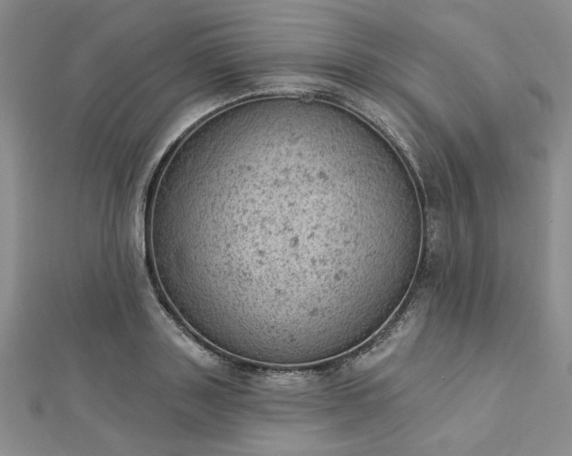 X0000112780843200908271702