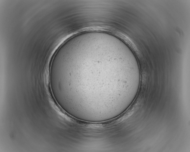 X0000112780844200908271702