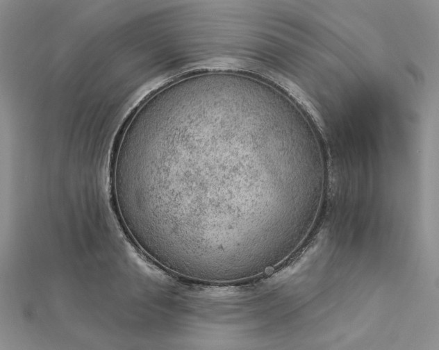 X0000112780845200908271702