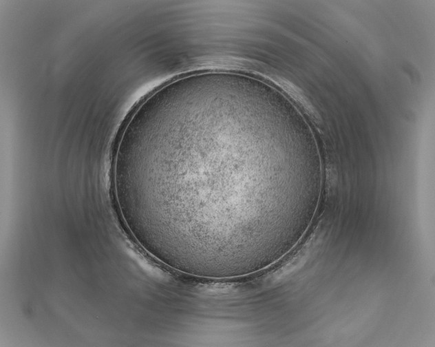 X0000112780846200908271702