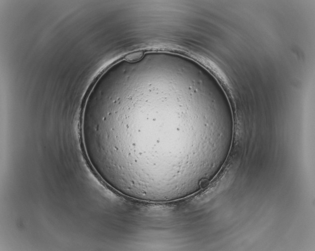 X0000112780847200908271702