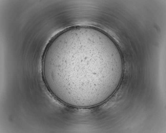 X0000112780848200908271702