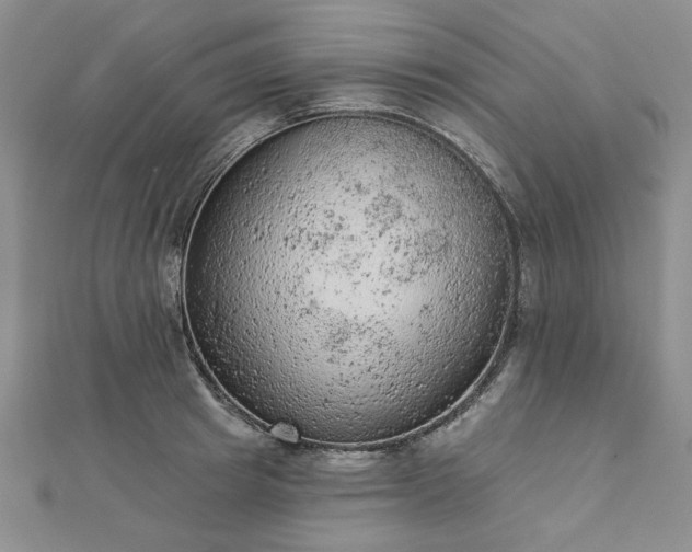 X0000112780849200908271702