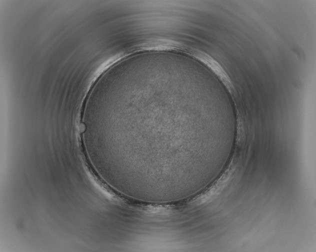 X0000112780850200908271702